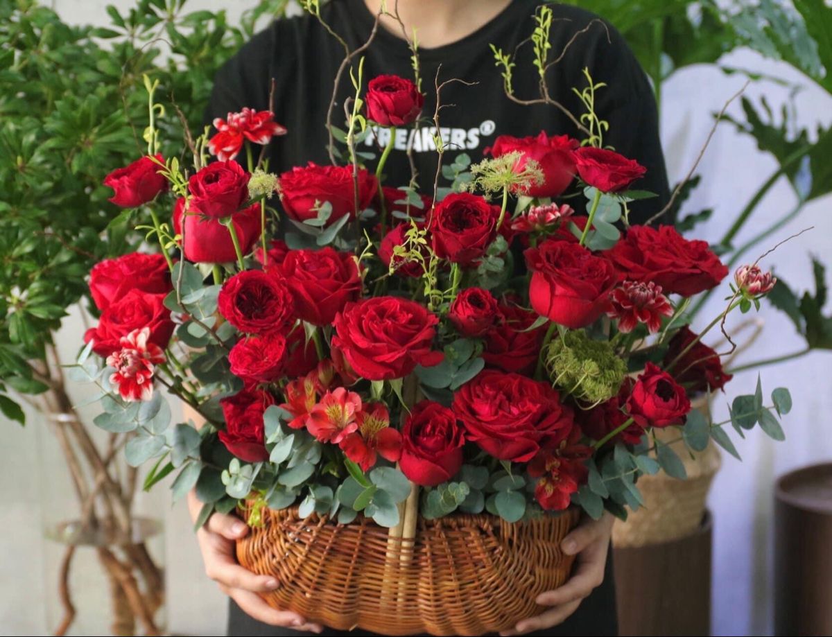 Tặng hoa cát tường đỏ ngày Tết