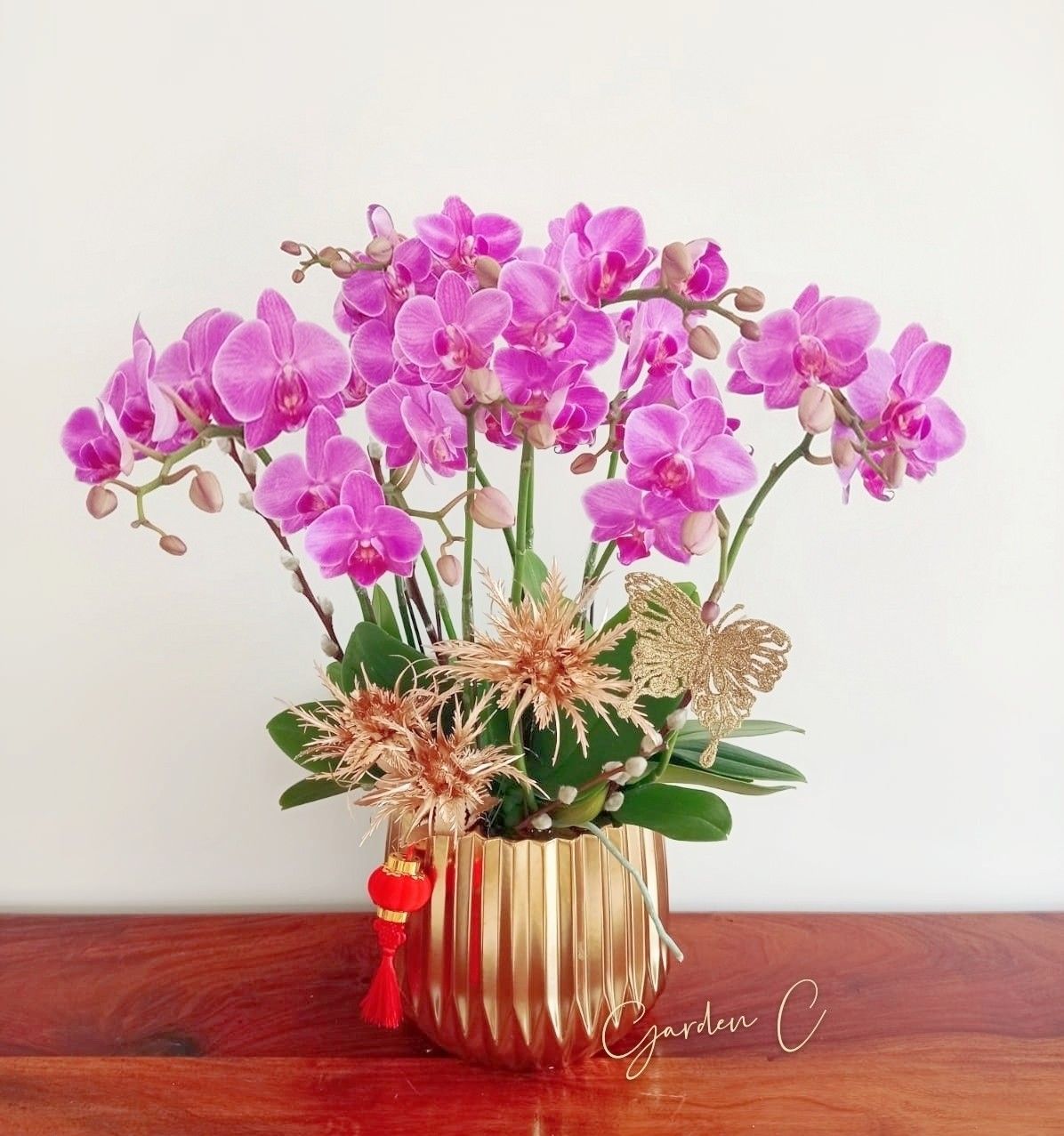 Chậu lan hồ điệp 10 cành kết hợp trắng - tím