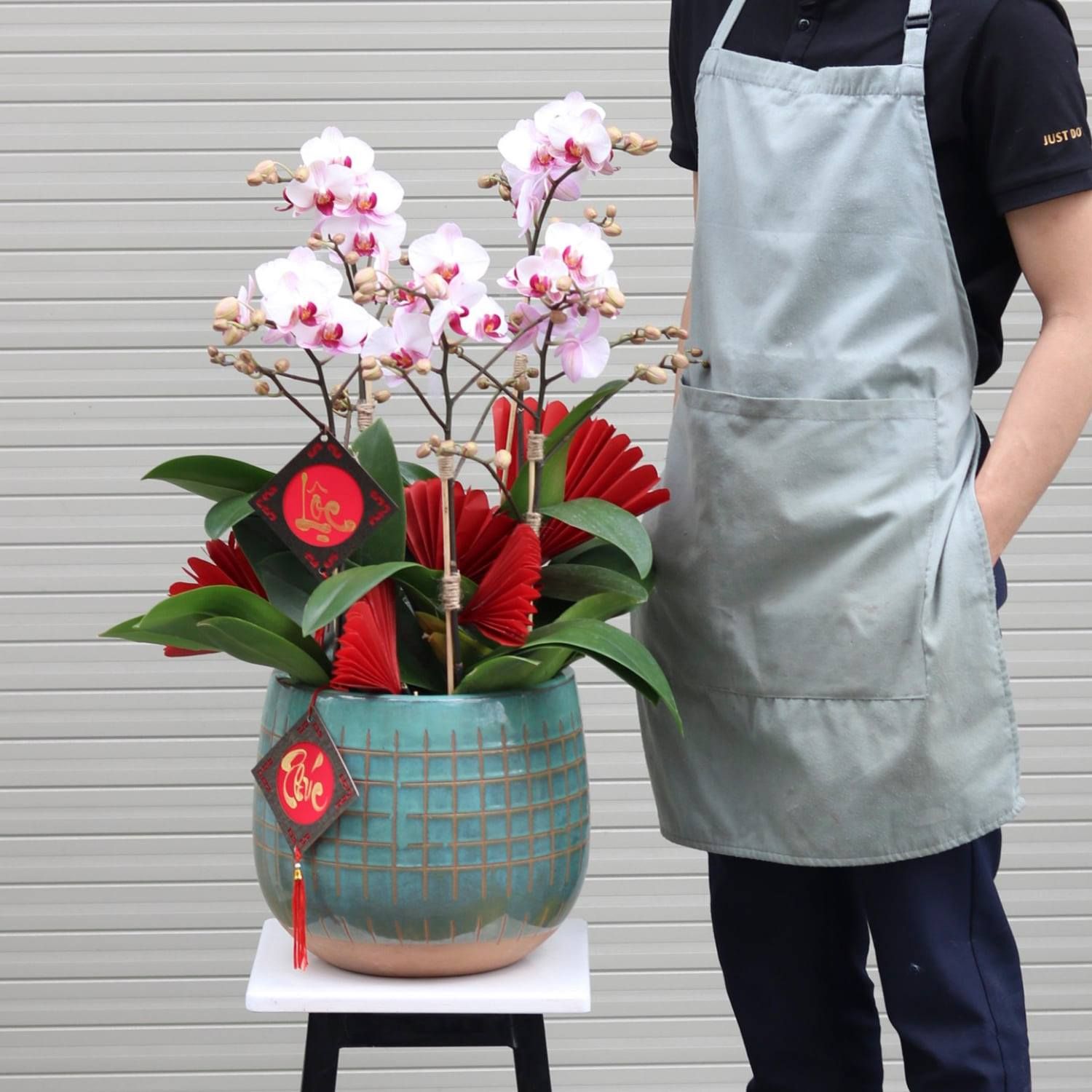 Chậu lan hồ điệp 5 cành sang trọng trong ngày khai trương