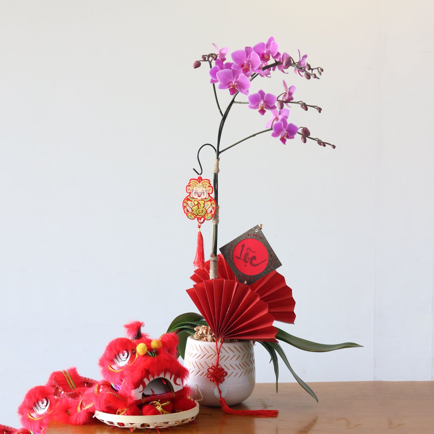 Chậu lan nhỏ, đẹp, phù hợp để trang trí trong nhà vào dịp Tết