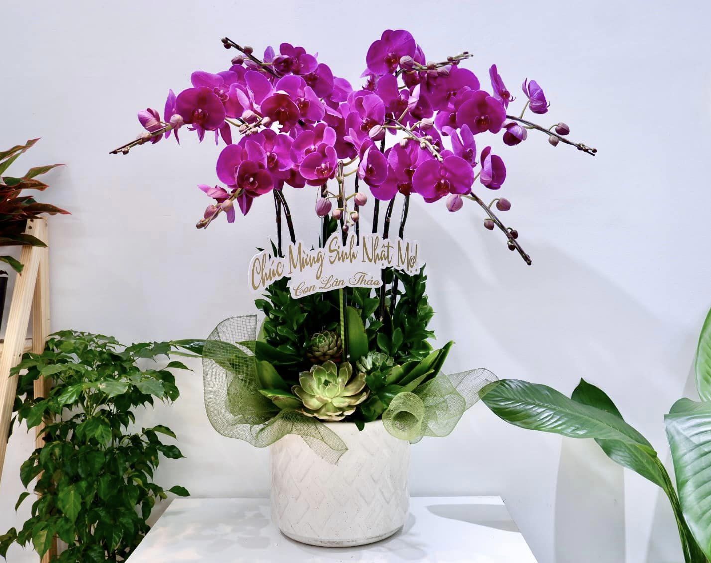 Giỏ hoa lan tặng sinh nhật