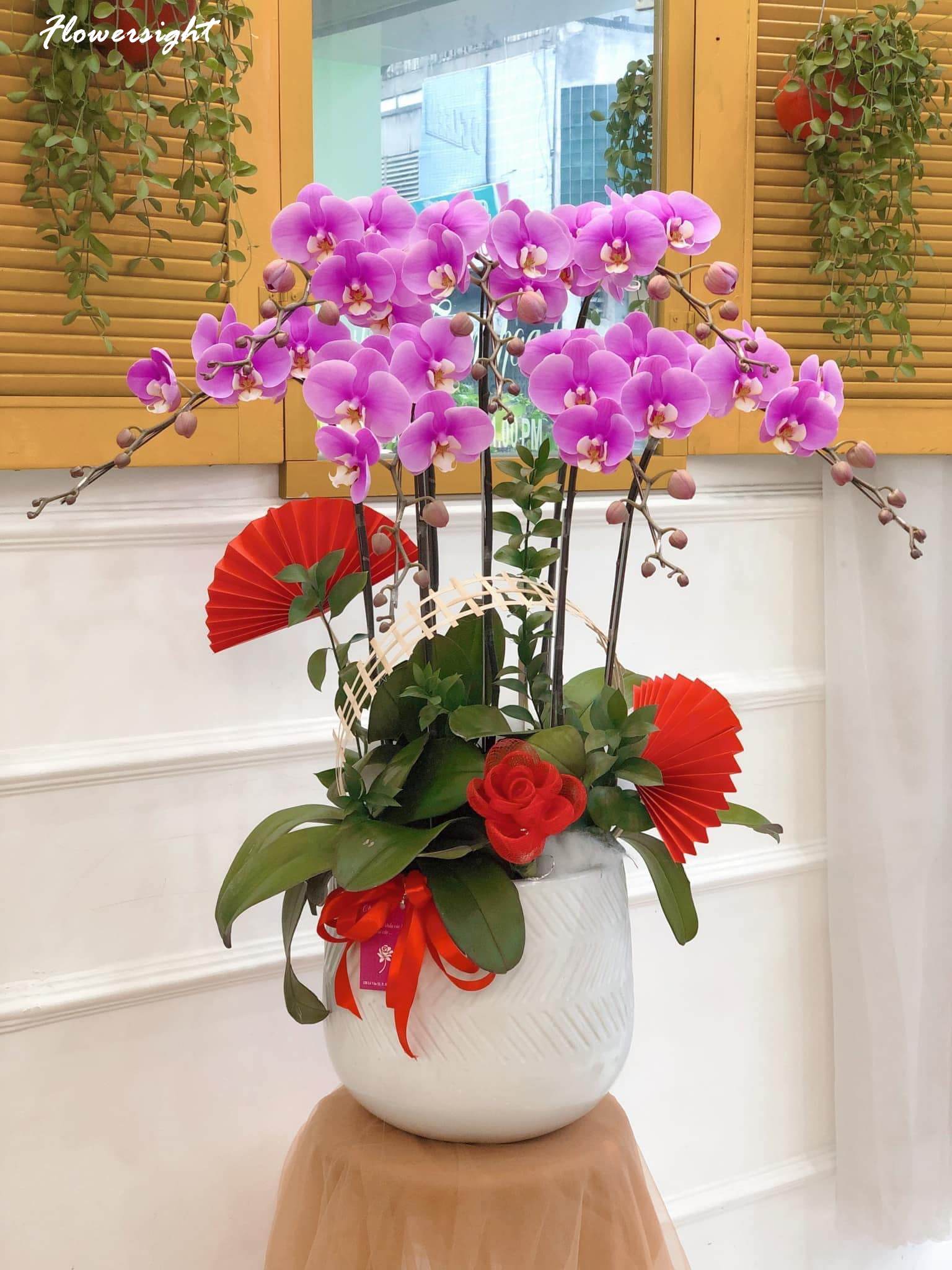 Hoa lan hồ điệp tím sang trọng