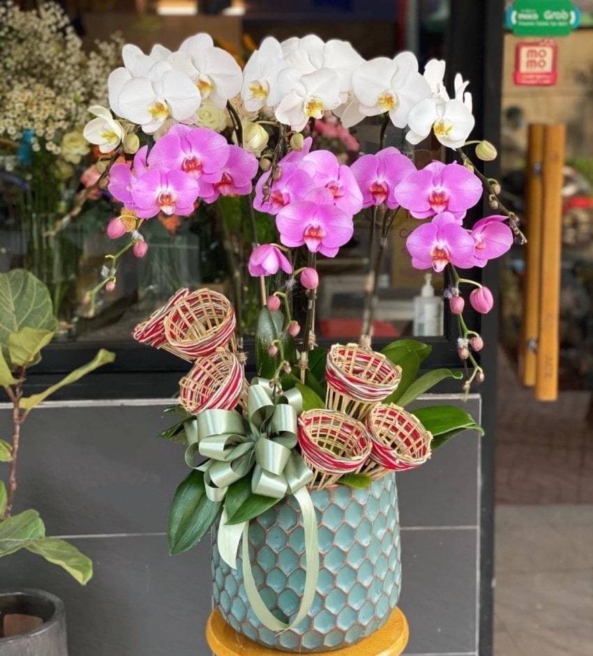 Hoa lan tím mừng sinh nhật