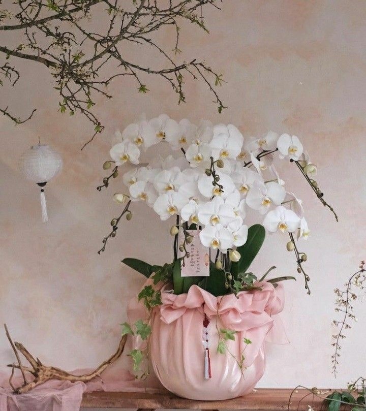 Hoa tươi tại FlowerSight