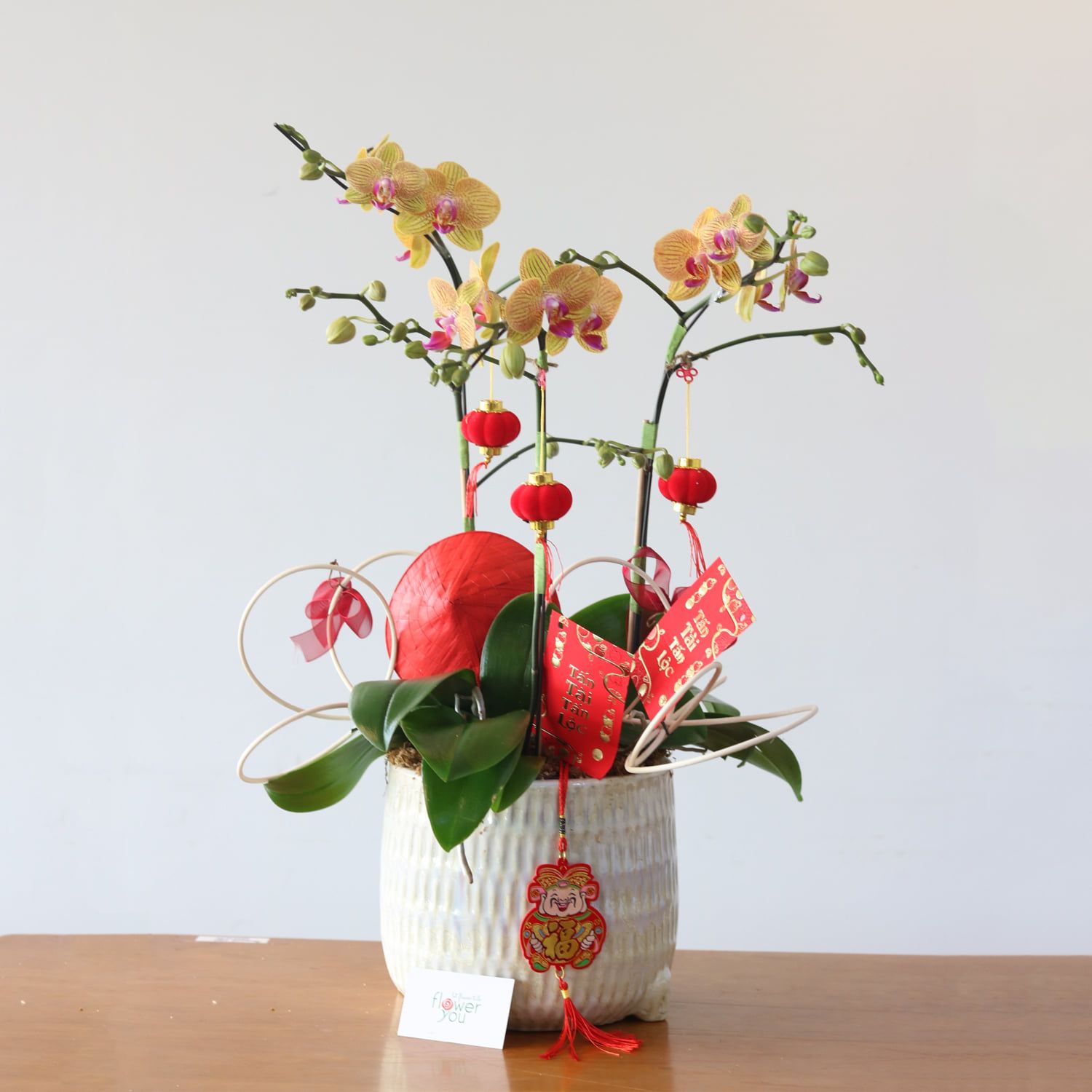 Chậu lan hồ điệp 3 cành phù hợp chưng ngày Tết