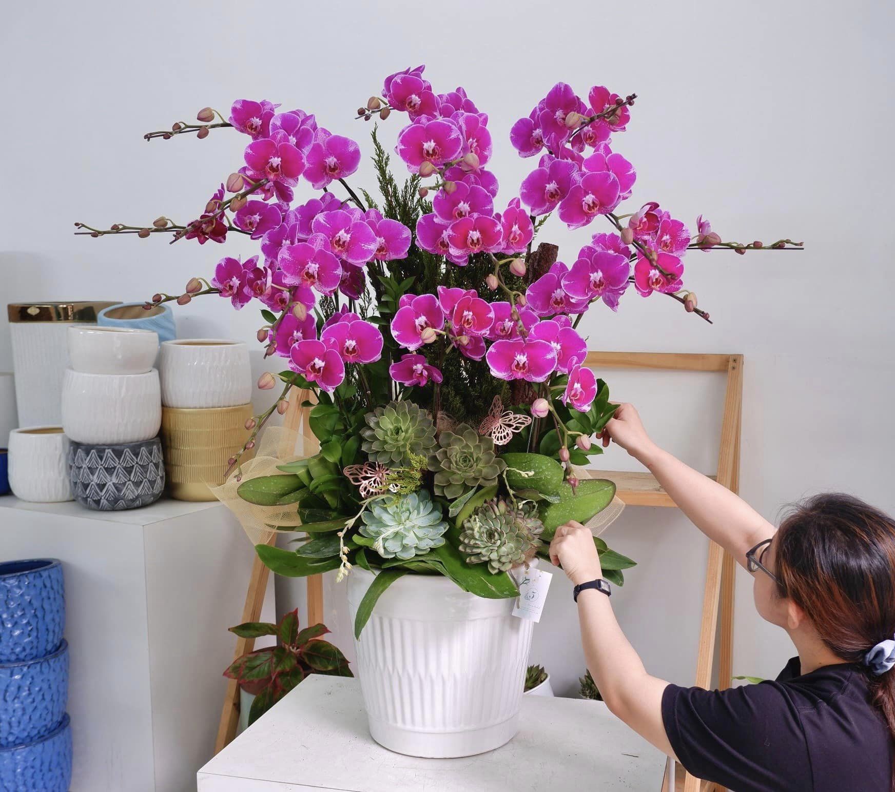 Hoa lan tặng sinh nhật