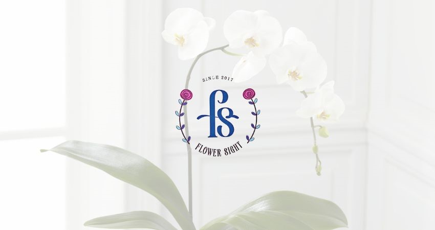 shop hoa lan bán chậu lan 1 cành