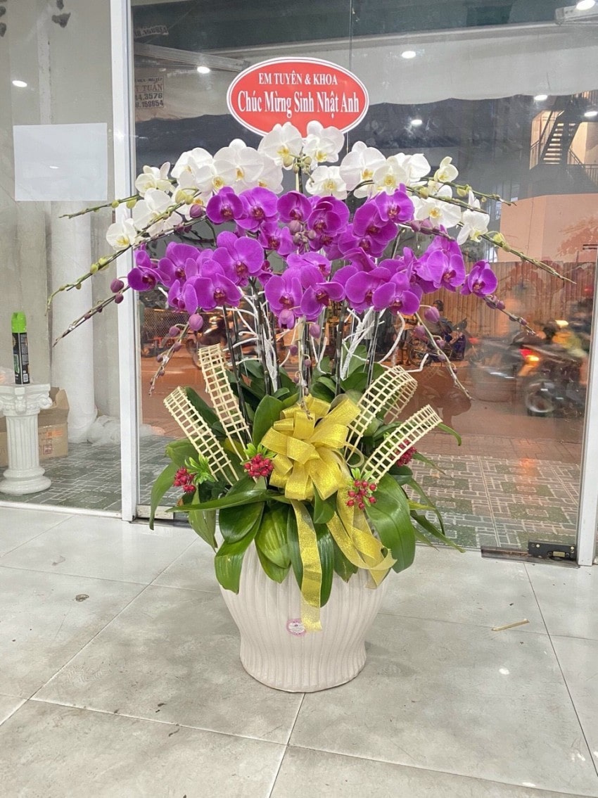 Chậu hoa lan tím trắng tại Flower Sight