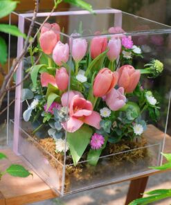 Hộp Hoa Thuỷ Tinh Tulip