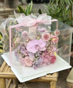 Hộp hoa mica The Models