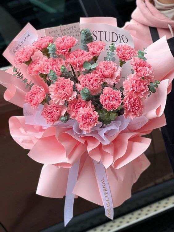 Bó hoa cẩm chướng hồng