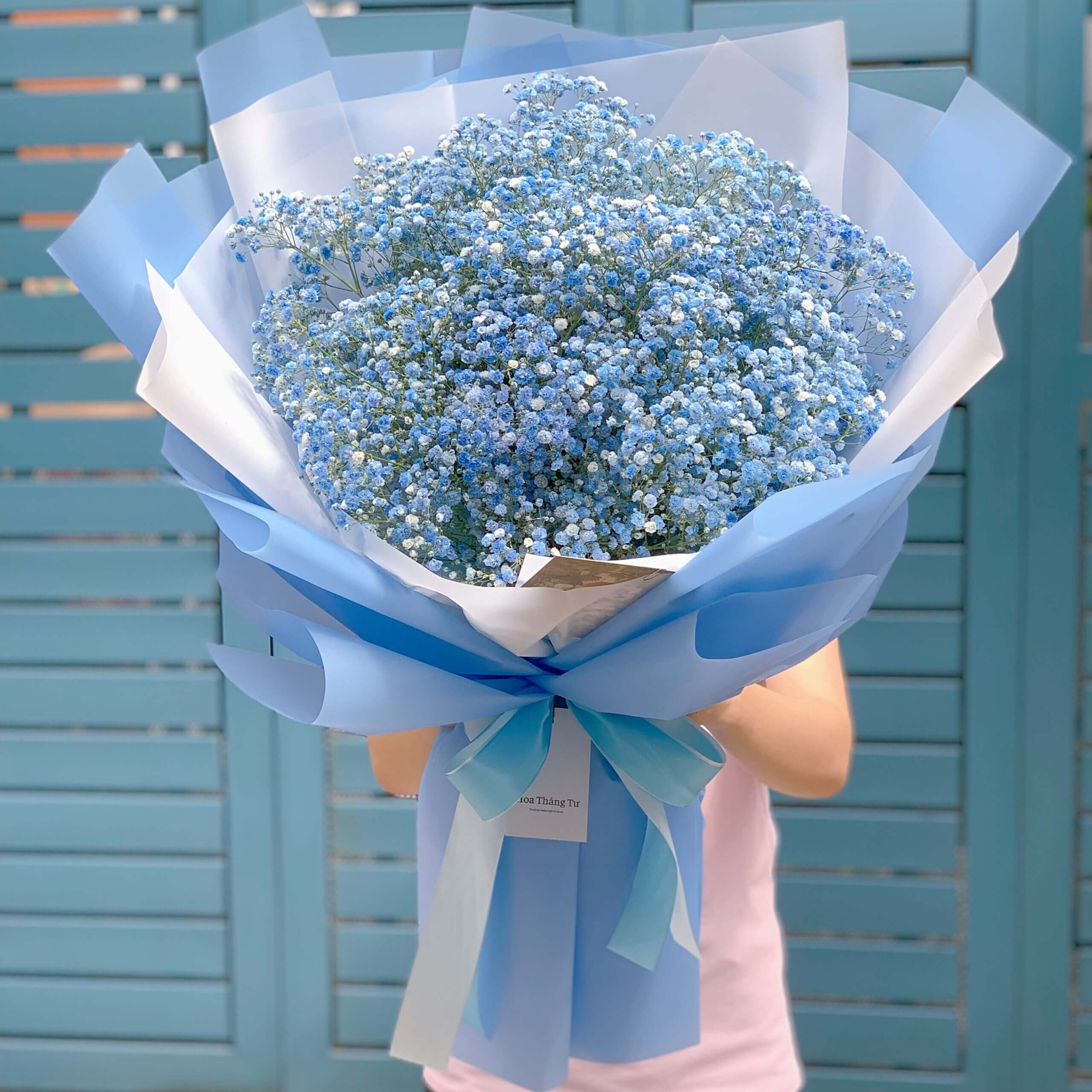 Bó hoa baby màu xanh tượng trưng cho tình yêu