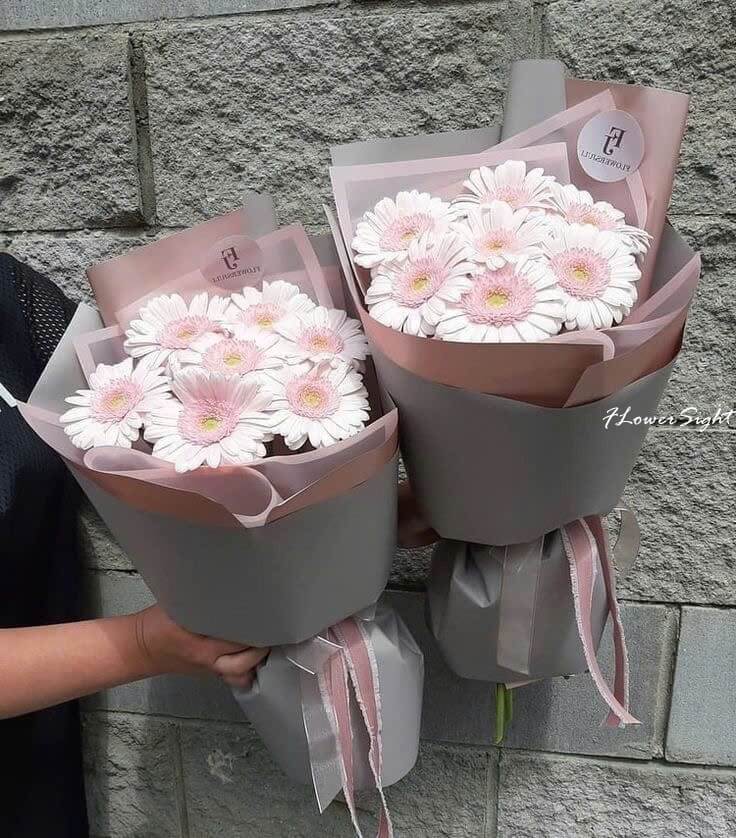 Bó hoa đồng tiền nhỏ