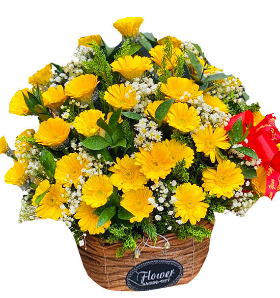 Giỏ hoa đồng tiền vàng