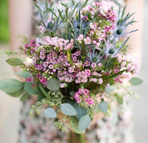 hoa cưới thanh liễu