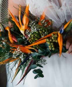 Hoa cưới thiên điểu