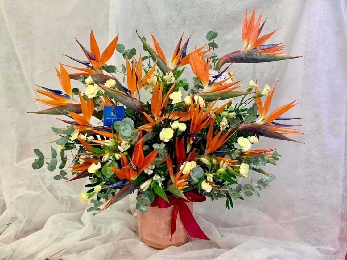 Hoa cưới thiên điểu