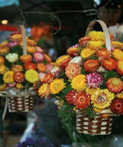 Hoa tình yêu bất tử