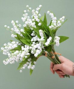 Hoa lan chuông tặng người thương