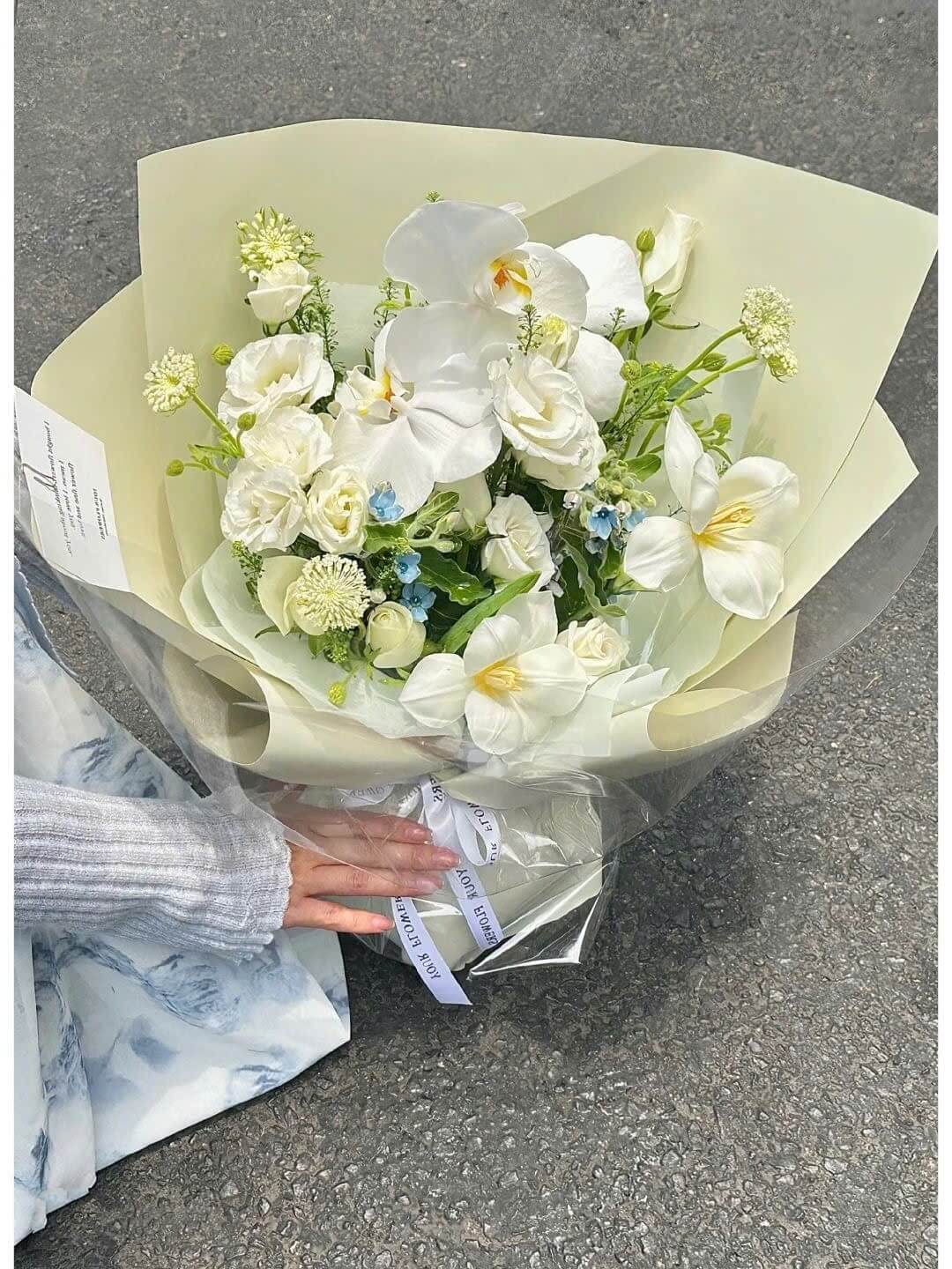 Bó hoa lan trắng tặng bạn bè