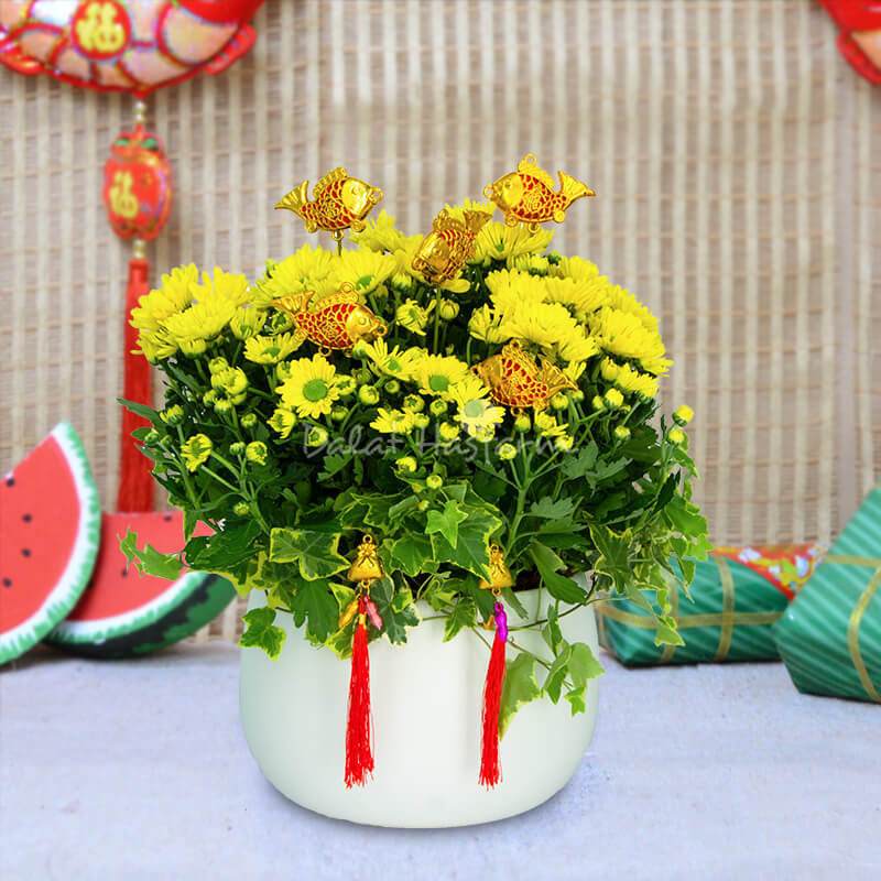 Chậu hoa vàng Tết