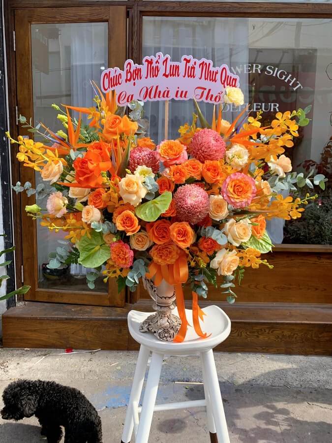 hoa chúc mừng tất niên