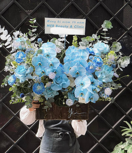 Lan hồ điệp màu xanh dương ý nghĩa