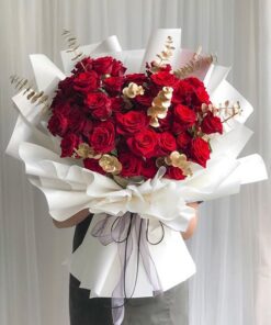 Hoa giáng sinh màu đỏ