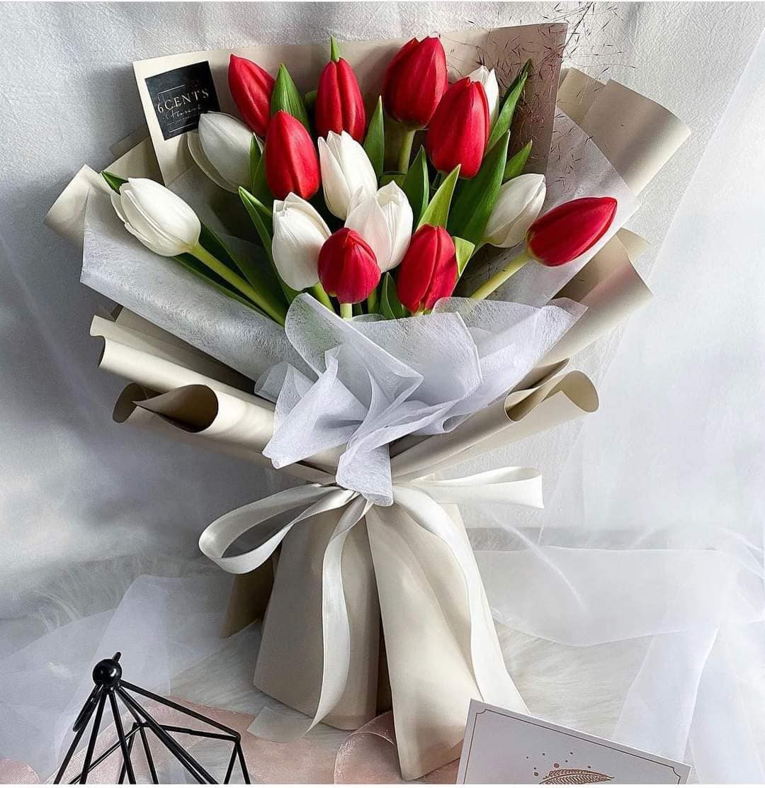 Hoa màu đỏ trắng