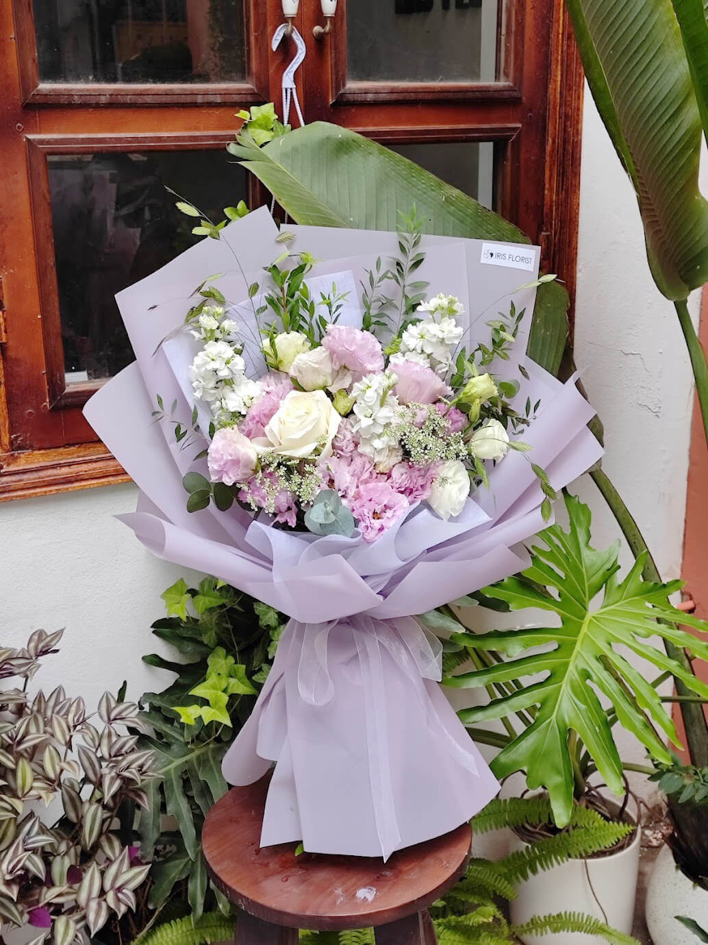 Hoa màu trắng tím