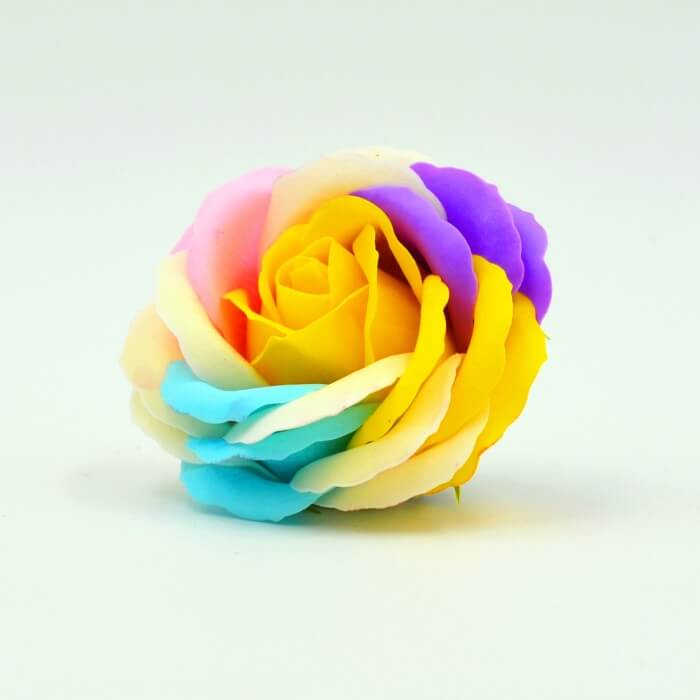 Hoa sáp cầu vồng