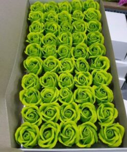 Hoa sáp màu xanh lá cây