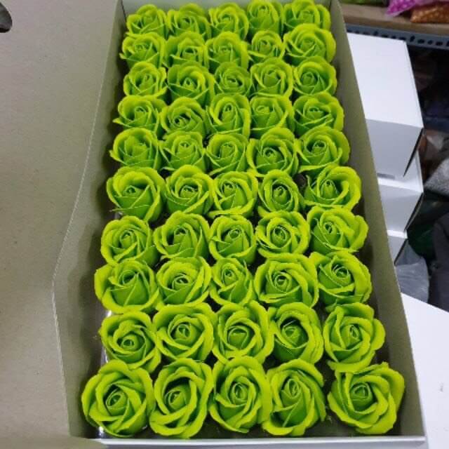 Hoa sáp màu xanh lá cây