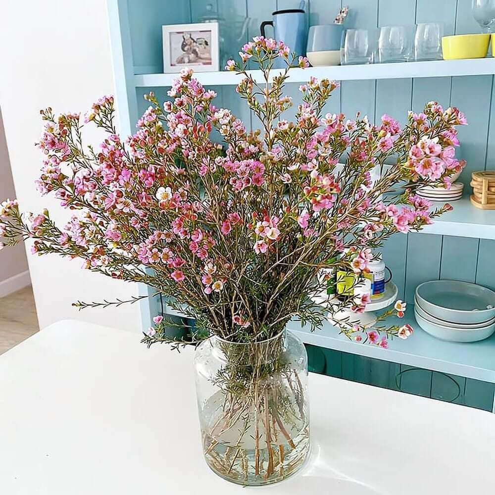 Hoa Tết thanh liễu