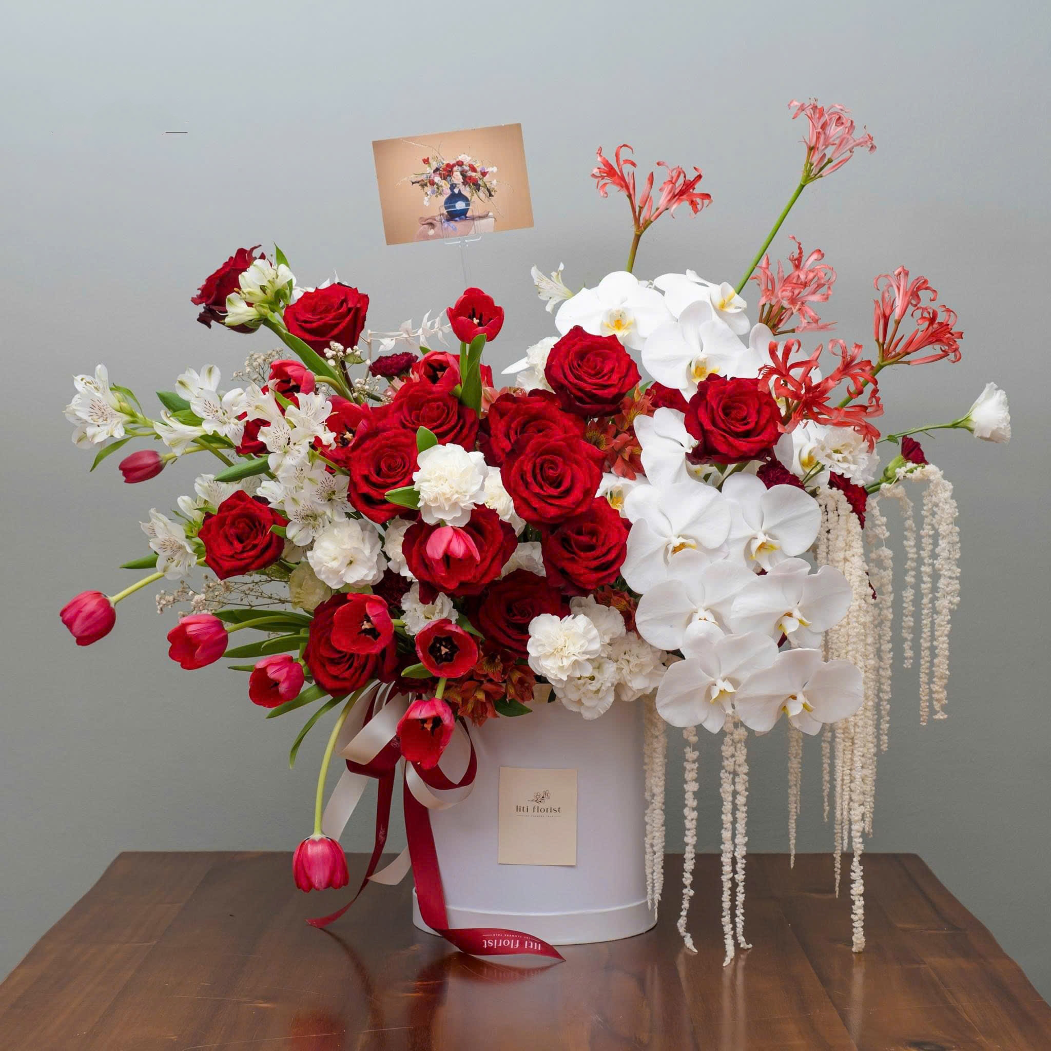 Hoa màu đỏ trắng đẹp