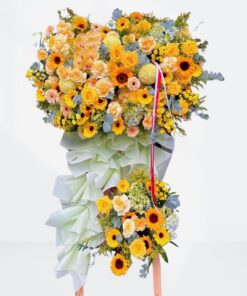 Kệ hoa khai trương hướng dương