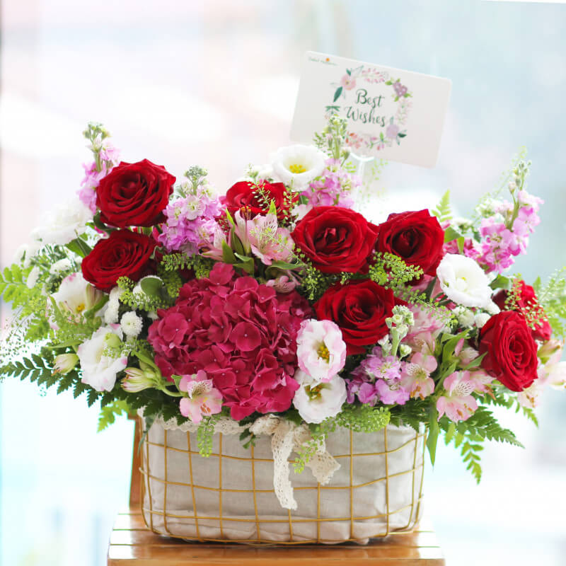 Lẵng hoa phi yến 