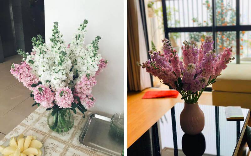 Lẵng hoa phi yến 