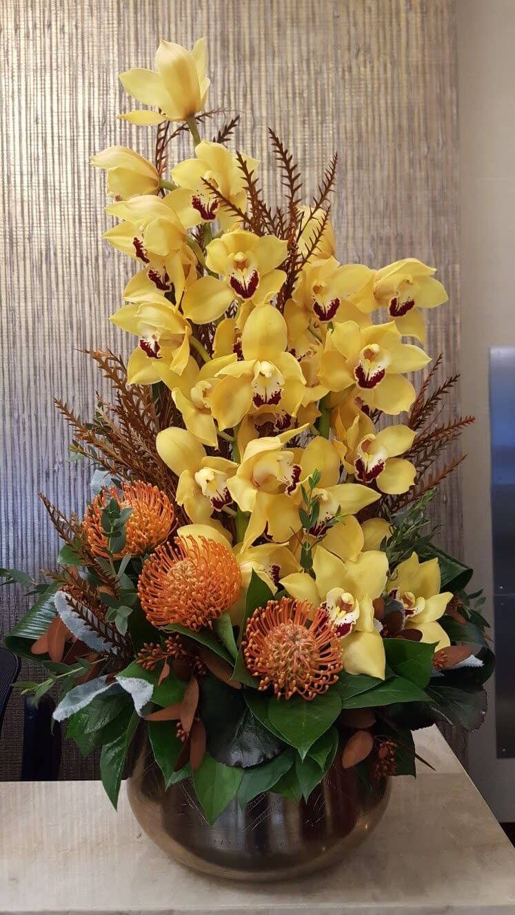 chậu hoa địa lan 00