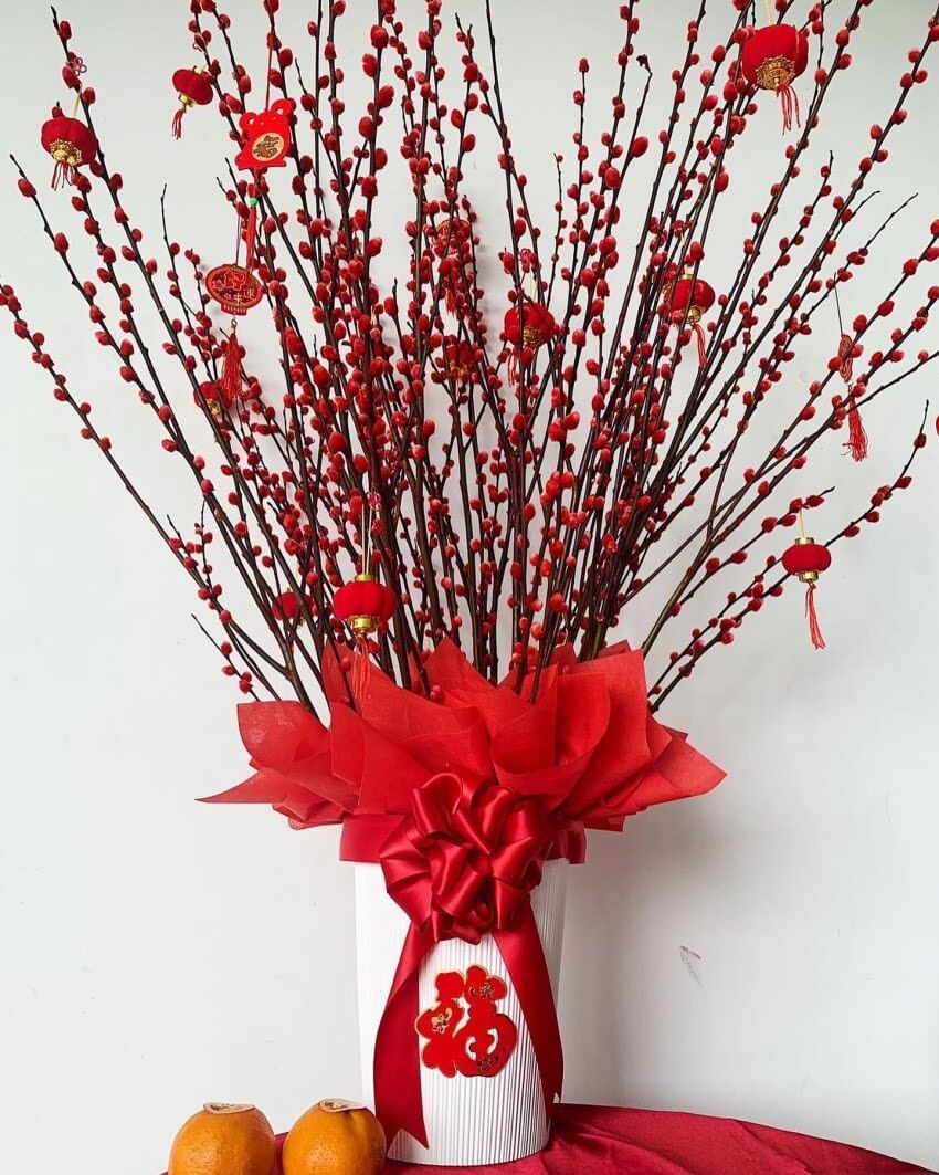 Chậu hoa tầm xuân đẹp 02