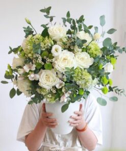 Chậu hoa tú cầu đề bàn