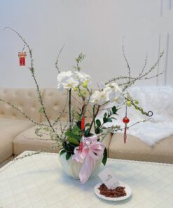 Ý nghĩa hoa lan hồ điệp tặng người thân