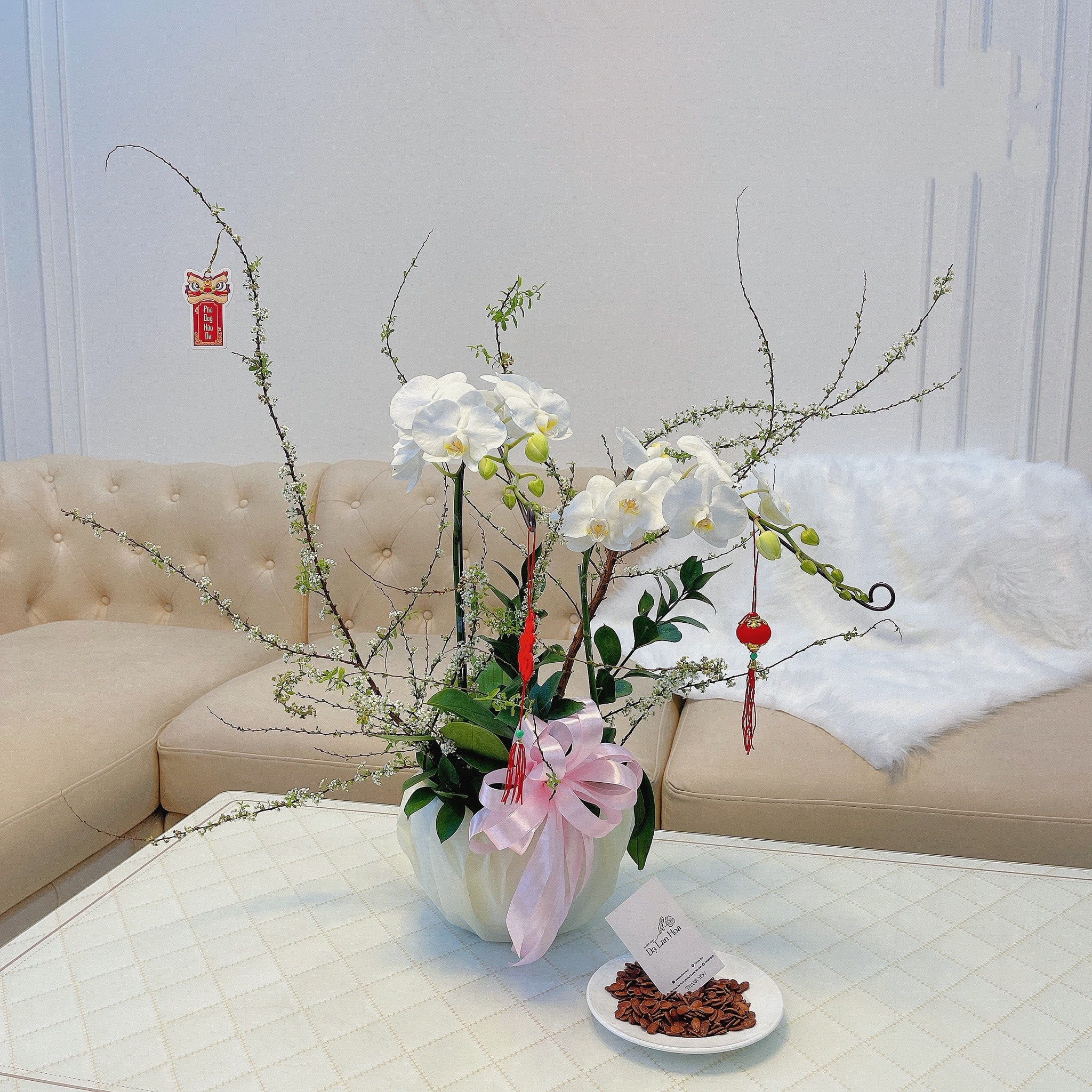 Chậu lan hồ điệp trắng nhỏ