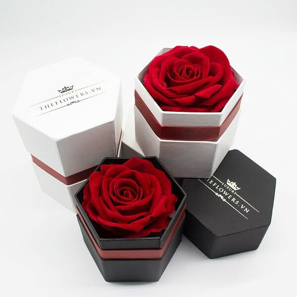 hộp hoa 1 bông 00