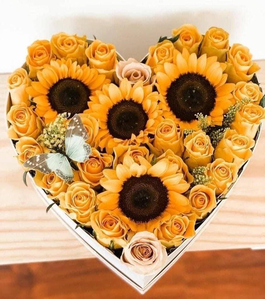 hộp hoa hướng dương 04