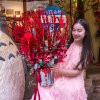 hoa đỏ chưng tết tphcm