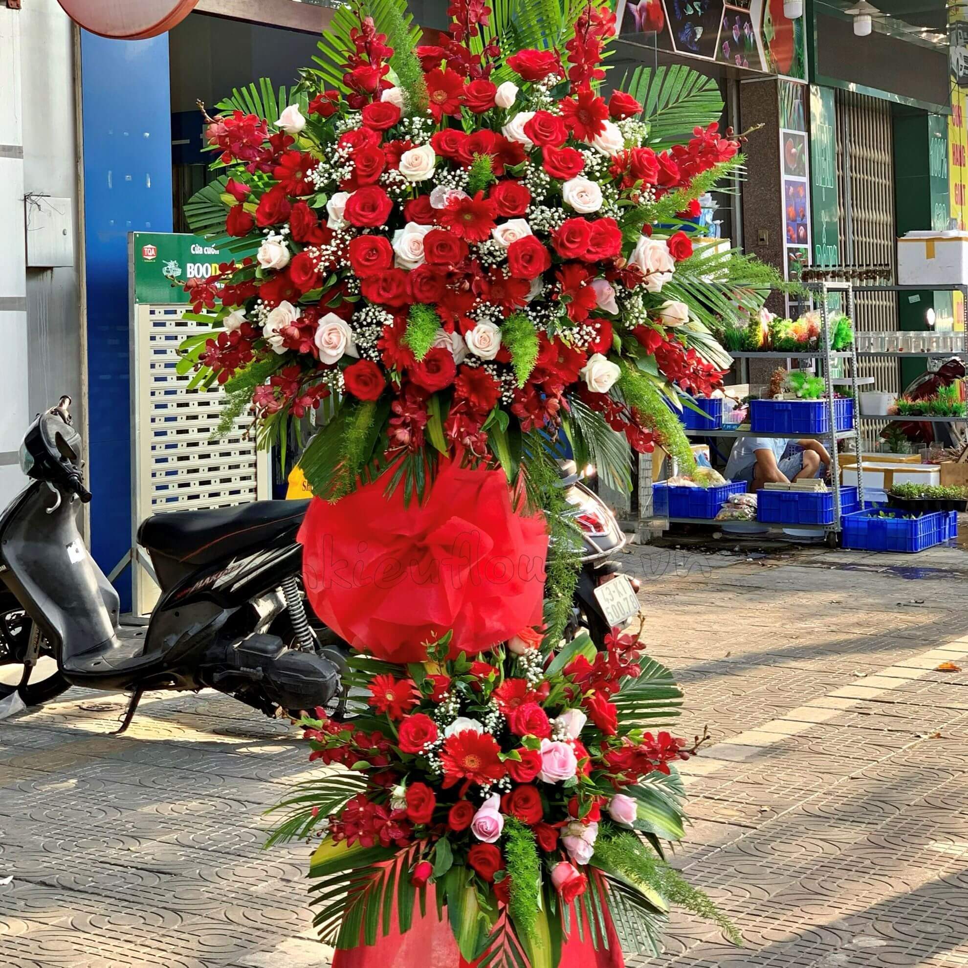 Kệ hoa đồng tiền