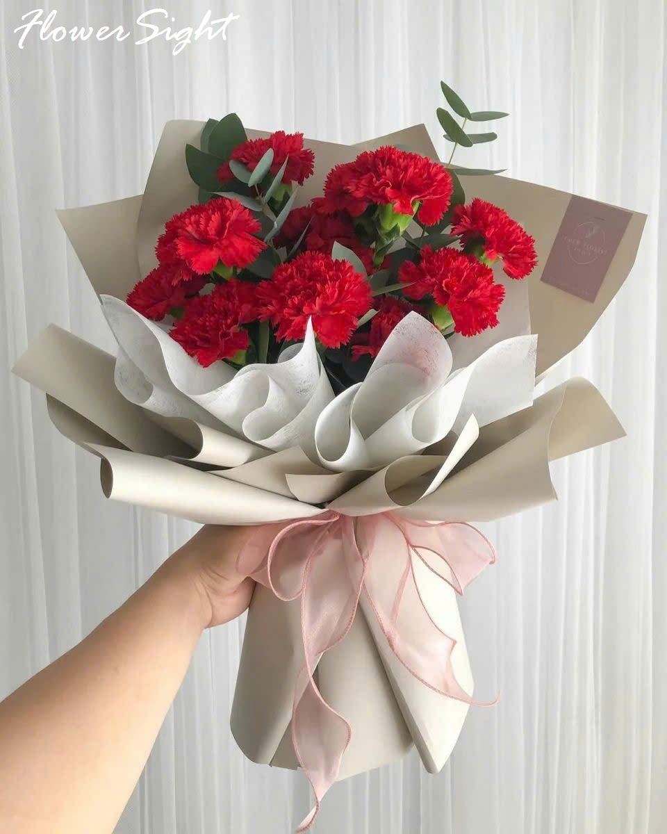 Bó hoa cẩm chướng đỏ