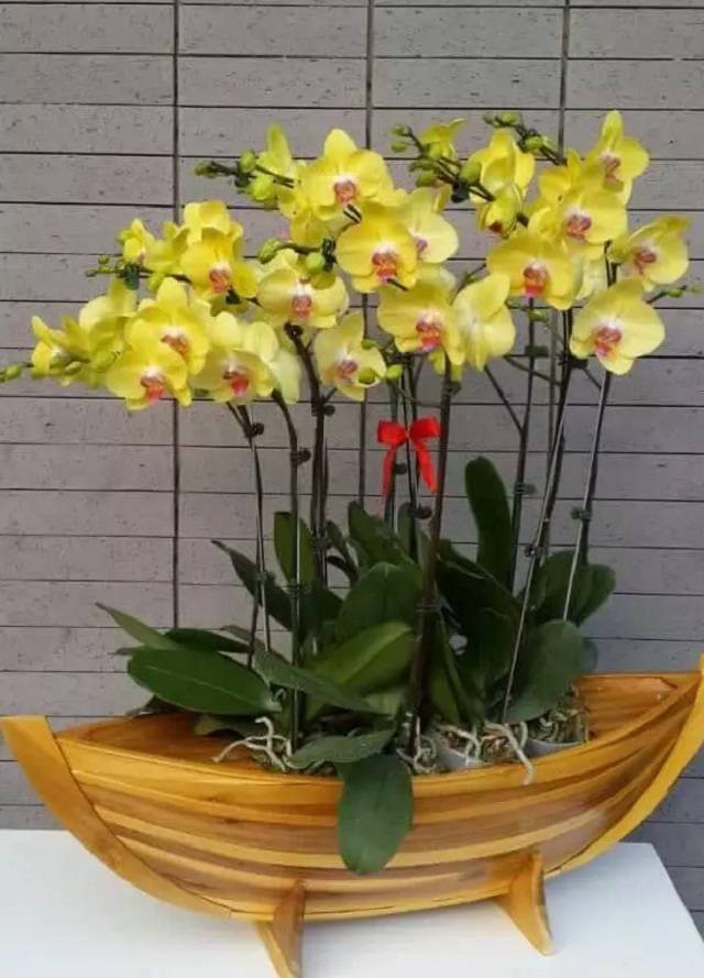 giỏ hoa hình thuyền