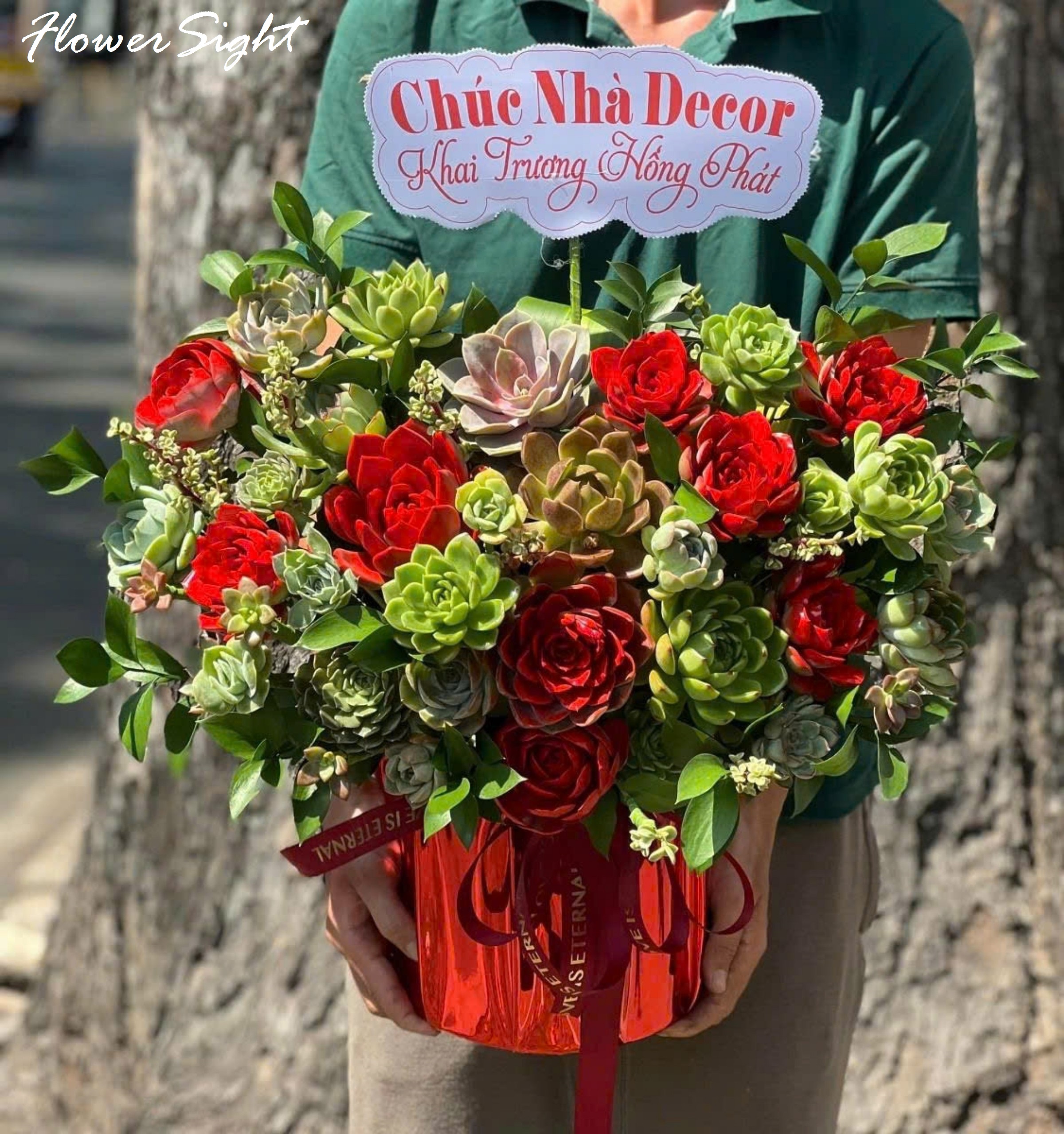 Lẵng hoa sen đá màu đỏ và màu xanh độc đáo